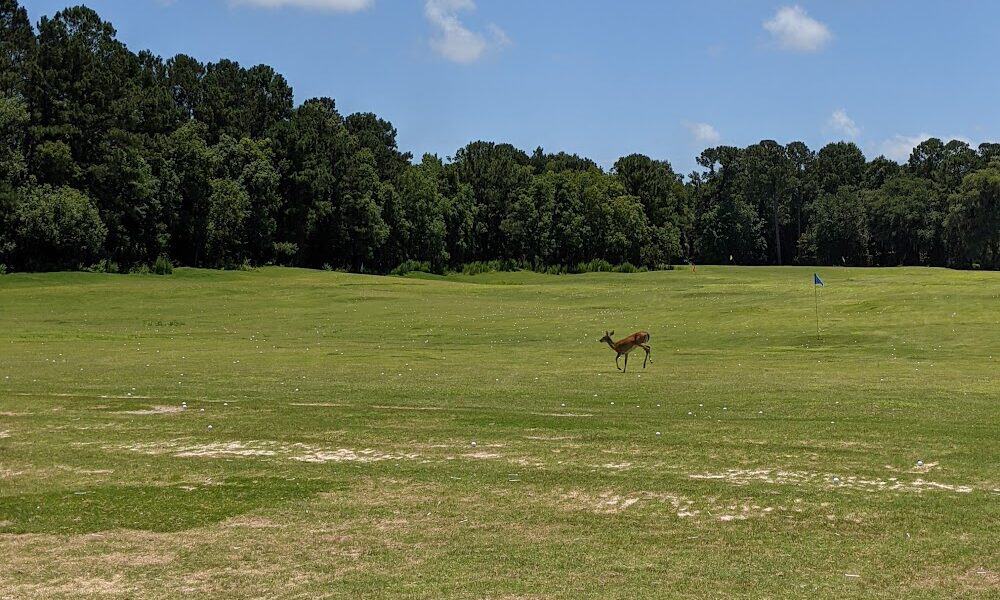 Dunes West Golf and River Club